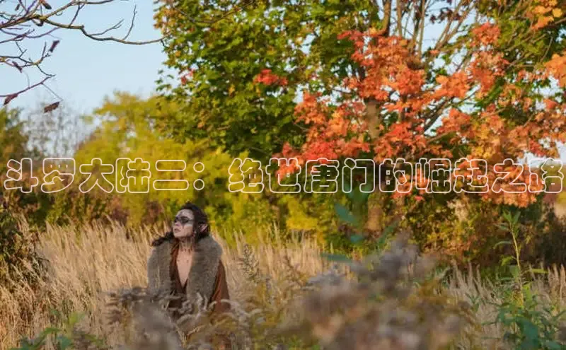 斗罗大陆二：绝世唐门的崛起之路