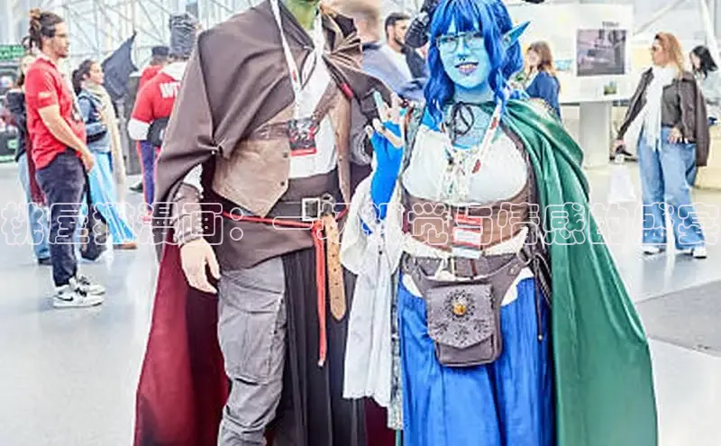 桃屋猫漫画：一场视觉与情感的盛宴